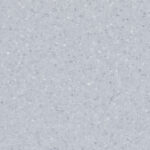 5039 Grey Moon
