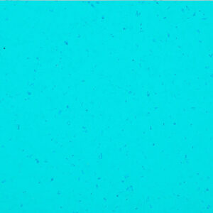 5437 Reef Water