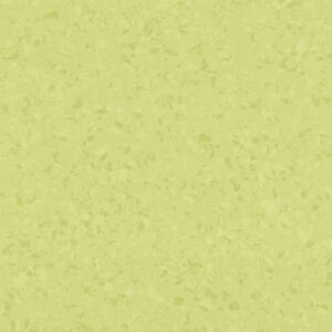 6027 Accacia