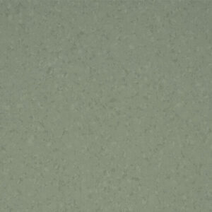 6067 Kaki