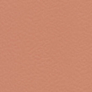 6146 Coral