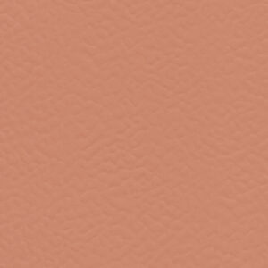 6157 Rosa