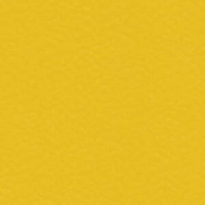 6211 Gold