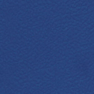 6430 Blue