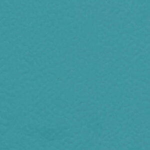 6431 Teal