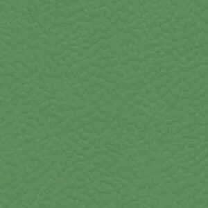 6556 Verde