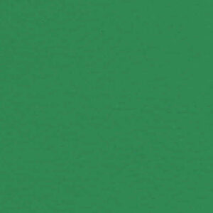 6563 Menta