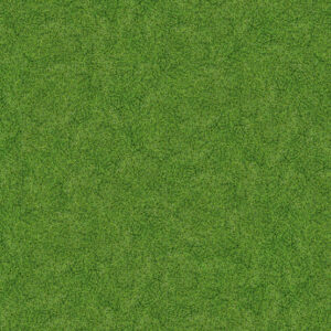 7081 Spring Grass