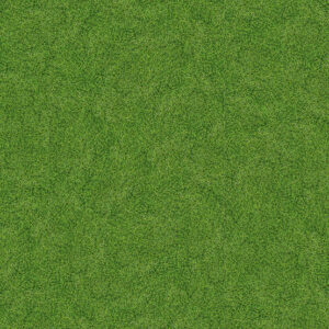 7081 Spring Grass