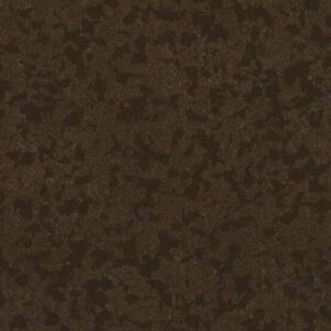 8073 Cocoa
