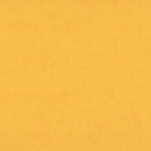 8255 Golden Sunset