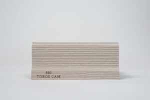 880-TOROSCAM