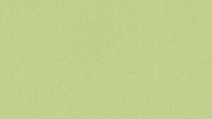 Chambray ANIS