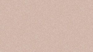 FRAGMENTO DEEP BRICK