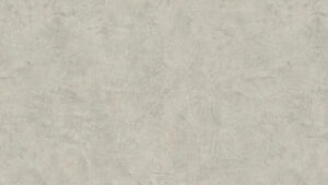 Fossil LIGHT GREGE
