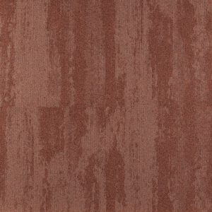 SHORELİNE 65038