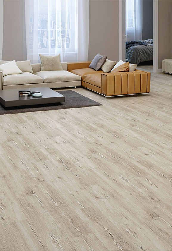 TERRA CLİC