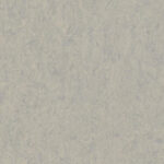 Veneto GREY 793