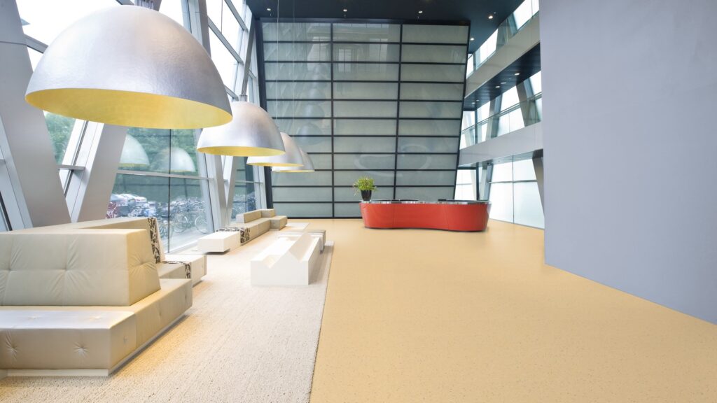 ECLİPSE ACOUSTİC