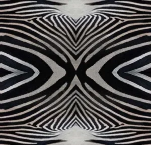 000402E zebra