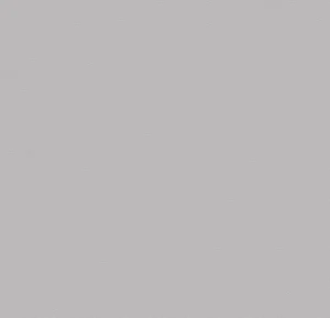 0861T4315 light grey uni