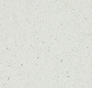 171082 snow *