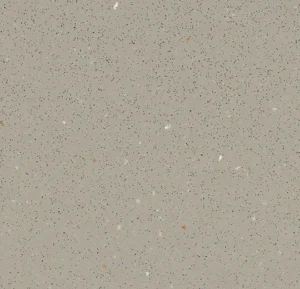 174232 fossil