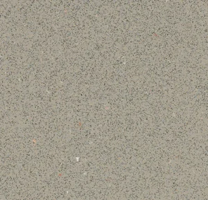 175872 fossil