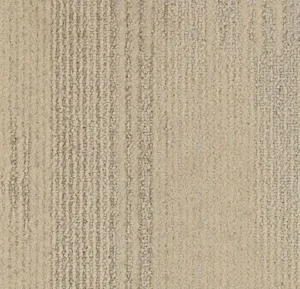 1903 white spruce