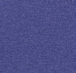2126 purplexed