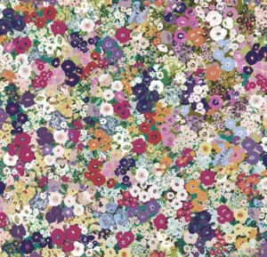 270008E Meadow field autumn
