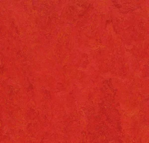 3131 scarlet