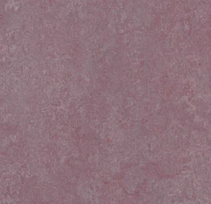 3272 plum