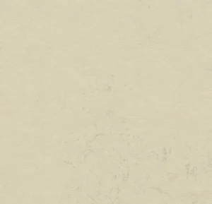 333701:633701 moon
