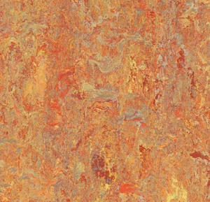 3403 Asian tiger