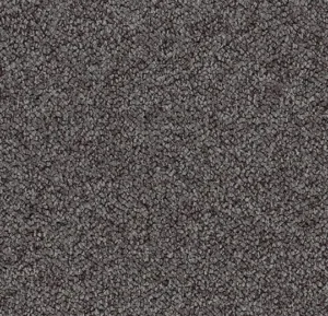 3608 quinoa