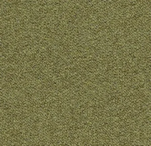 3613 pasture