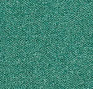 3616 eucalyptus