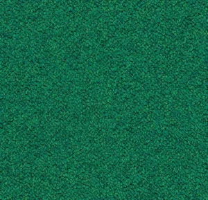 3620 evergreen