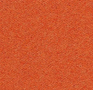 3625 calypso