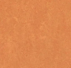 3825 African desert