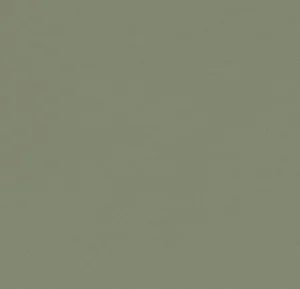 4184 olive