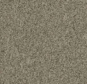 4206 olea
