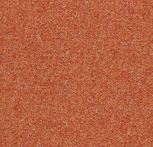 4209 clementine