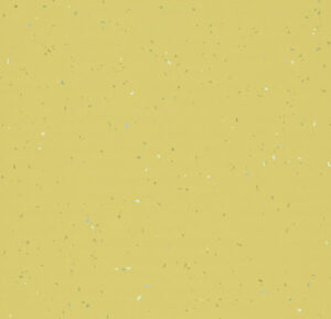 42532 elegance daffodil