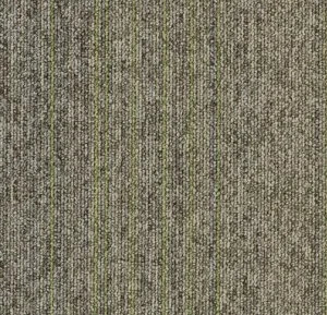 4811 earth