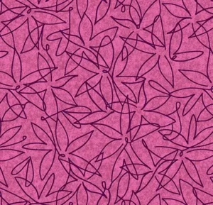 500026E Field Berry