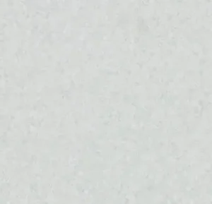 50007 grey sky