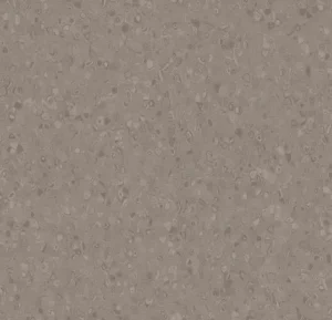 50020 silt
