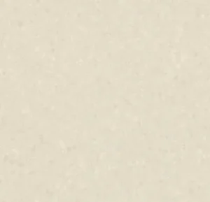 50022 shell